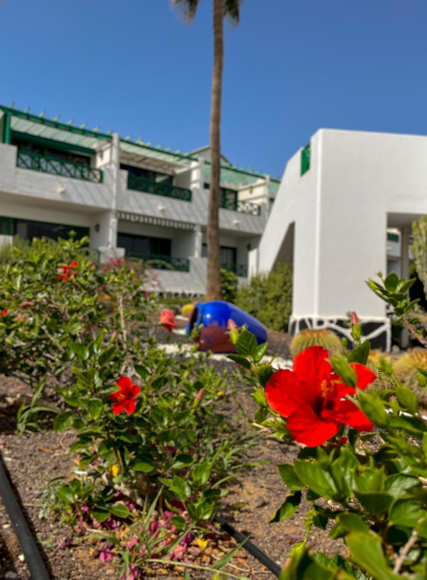 Beautiful Apartment Aguycan Beach 120 Playa Del Aguila 马斯帕洛马斯 外观 照片