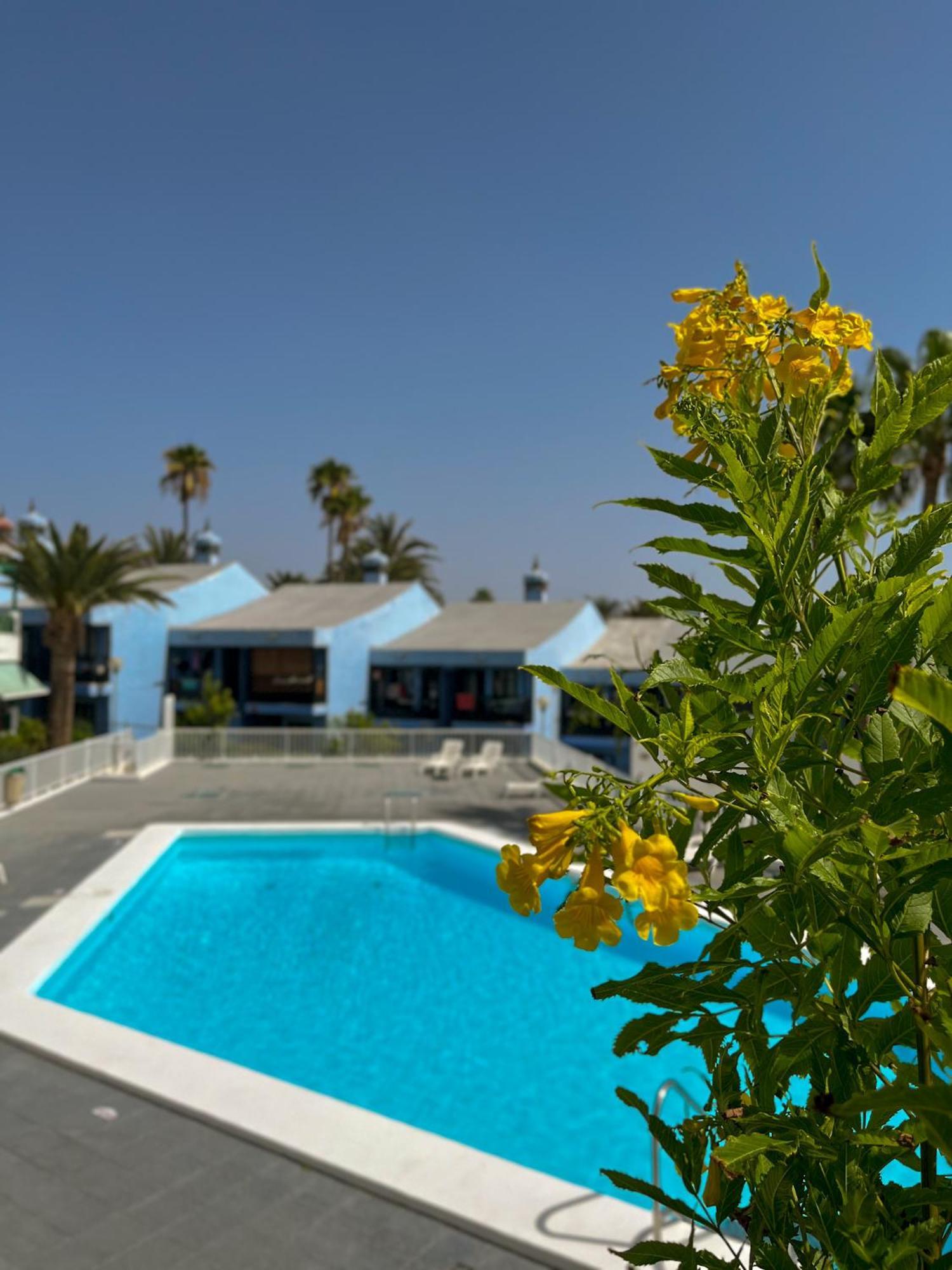 Beautiful Apartment Aguycan Beach 120 Playa Del Aguila 马斯帕洛马斯 外观 照片